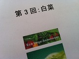 eco2.jpg